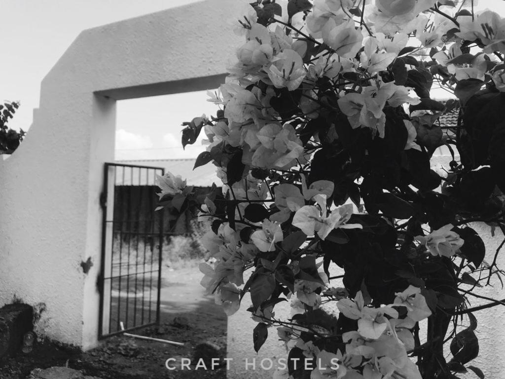 Craft Hostels อันจูนา ภายนอก รูปภาพ